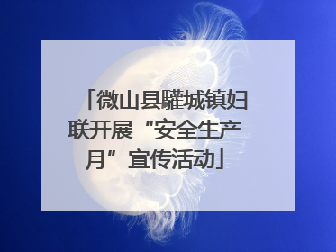 微山县驩城镇妇联开展“安全生产月”宣传活动