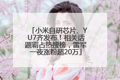 小米自研芯片、YU7齐发布！相关话题霸占热搜榜，雷军一夜涨粉超20万