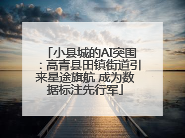小县城的AI突围：高青县田镇街道引来星途旗航 成为数据标注先行军