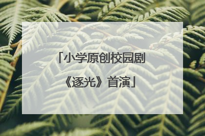 小学原创校园剧《逐光》首演
