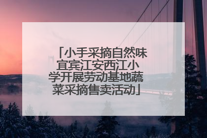 小手采摘自然味 宜宾江安西江小学开展劳动基地蔬菜采摘售卖活动