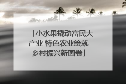 小水果撬动富民大产业 特色农业绘就乡村振兴新画卷