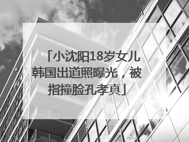 小沈阳18岁女儿韩国出道照曝光，被指撞脸孔孝真