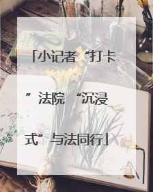 小记者“打卡”法院 “沉浸式”与法同行