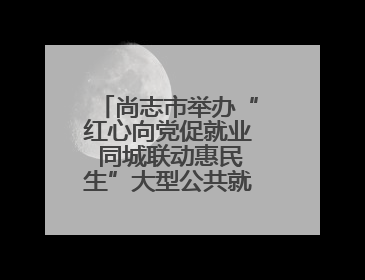 尚志市举办“红心向党促就业 同城联动惠民生”大型公共就业服务活动