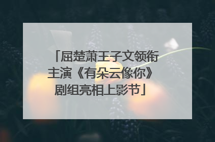 屈楚萧王子文领衔主演《有朵云像你》剧组亮相上影节