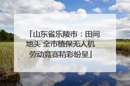 山东省乐陵市：田间地头 全市植保无人机劳动竞赛精彩纷呈