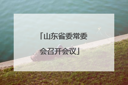 山东省委常委会召开会议
