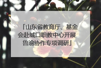山东省教育厅、基金会赴城口职教中心开展鲁渝协作专项调研
