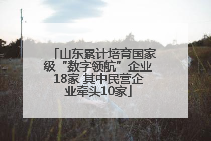 山东累计培育国家级“数字领航”企业18家 其中民营企业牵头10家