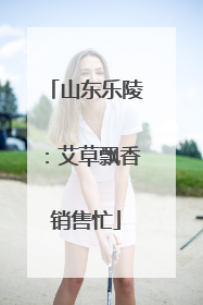 山东乐陵：艾草飘香销售忙