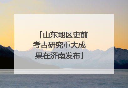 山东地区史前考古研究重大成果在济南发布