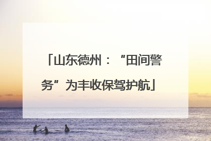 山东德州：“田间警务”为丰收保驾护航