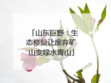 山东巨野：生态修复让废弃矿山变绿水青山