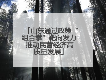 山东通过政策“组合拳”靶向发力 推动民营经济高质量发展