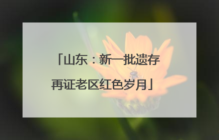 山东：新一批遗存再证老区红色岁月