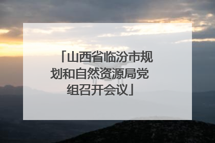 山西省临汾市规划和自然资源局党组召开会议