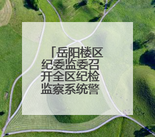 岳阳楼区纪委监委召开全区纪检监察系统警示教育会
