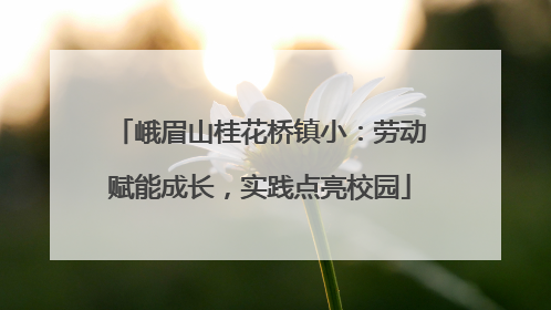 峨眉山桂花桥镇小：劳动赋能成长，实践点亮校园