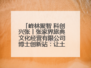 峰林聚智 科创兴张丨张家界旅典文化经营有限公司博士创新站：让土家织锦“智”造出非遗新传奇