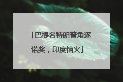 巴提名特朗普角逐诺奖，印度恼火