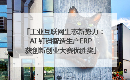 工业互联网生态新势力：AI 钉铛智造生产ERP获创新创业大赛优胜奖