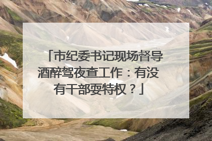市纪委书记现场督导酒醉驾夜查工作：有没有干部耍特权？
