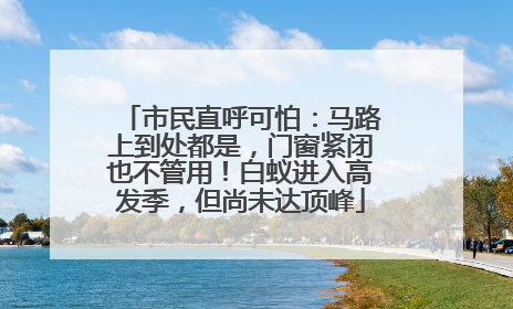 市民直呼可怕：马路上到处都是，门窗紧闭也不管用！白蚁进入高发季，但尚未达顶峰