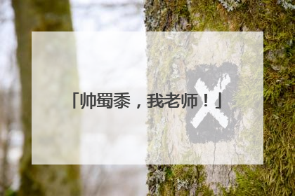 帅蜀黍，我老师！