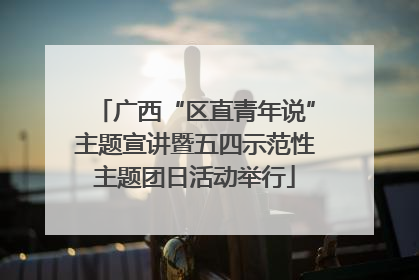 广西“区直青年说”主题宣讲暨五四示范性主题团日活动举行