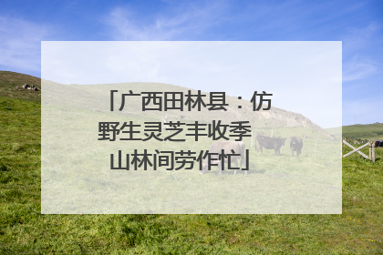 广西田林县：仿野生灵芝丰收季 山林间劳作忙