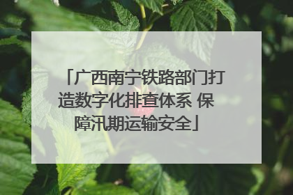 广西南宁铁路部门打造数字化排查体系 保障汛期运输安全