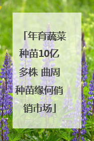 年育蔬菜种苗10亿多株 曲周种苗缘何俏销市场