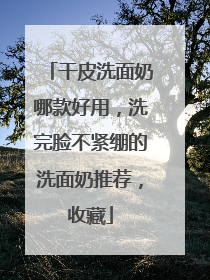 干皮洗面奶哪款好用，洗完脸不紧绷的洗面奶推荐，收藏