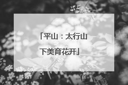 平山：太行山下美育花开