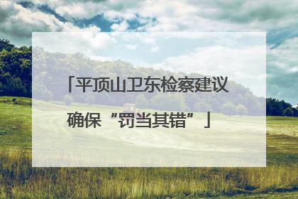 平顶山卫东检察建议确保“罚当其错”