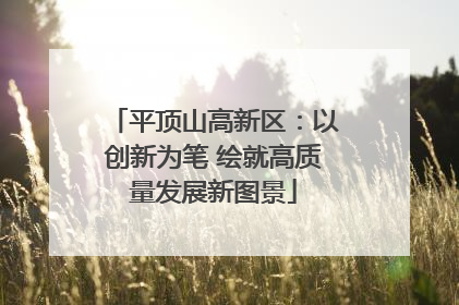 平顶山高新区：以创新为笔 绘就高质量发展新图景