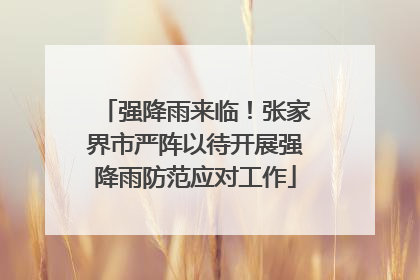 强降雨来临！张家界市严阵以待开展强降雨防范应对工作