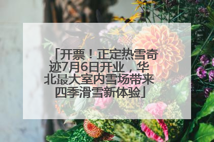 开票！正定热雪奇迹7月6日开业，华北最大室内雪场带来四季滑雪新体验