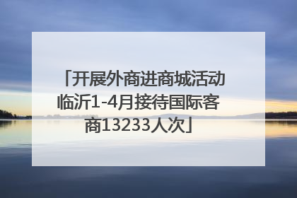开展外商进商城活动 临沂1-4月接待国际客商13233人次