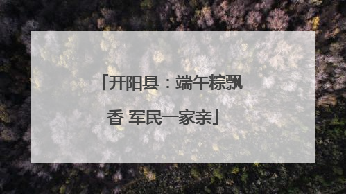 开阳县：端午粽飘香 军民一家亲