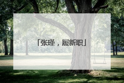张瑾，履新职
