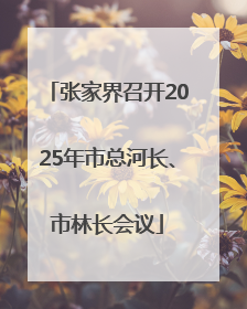 张家界召开2025年市总河长、市林长会议