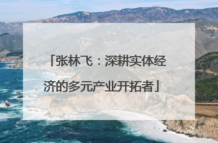 张林飞：深耕实体经济的多元产业开拓者