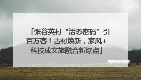 张谷英村“活态密码”引百万客！古村焕新，家风+科技成文旅融合新爆点