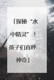 探秘“水中精灵”！孩子们直呼神奇