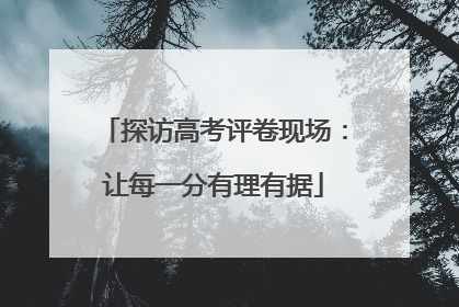 探访高考评卷现场：让每一分有理有据