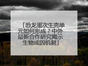 恐龙蛋次生壳单元如何形成？中外最新合作研究揭示生物成因机制