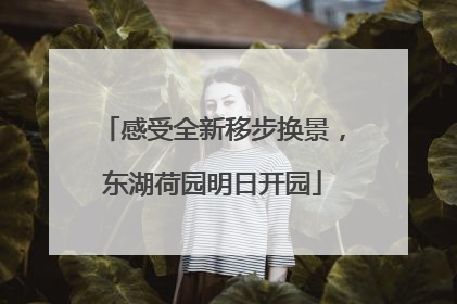 感受全新移步换景，东湖荷园明日开园