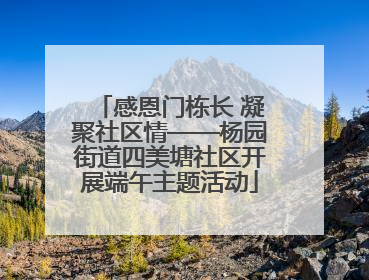 感恩门栋长 凝聚社区情——杨园街道四美塘社区开展端午主题活动